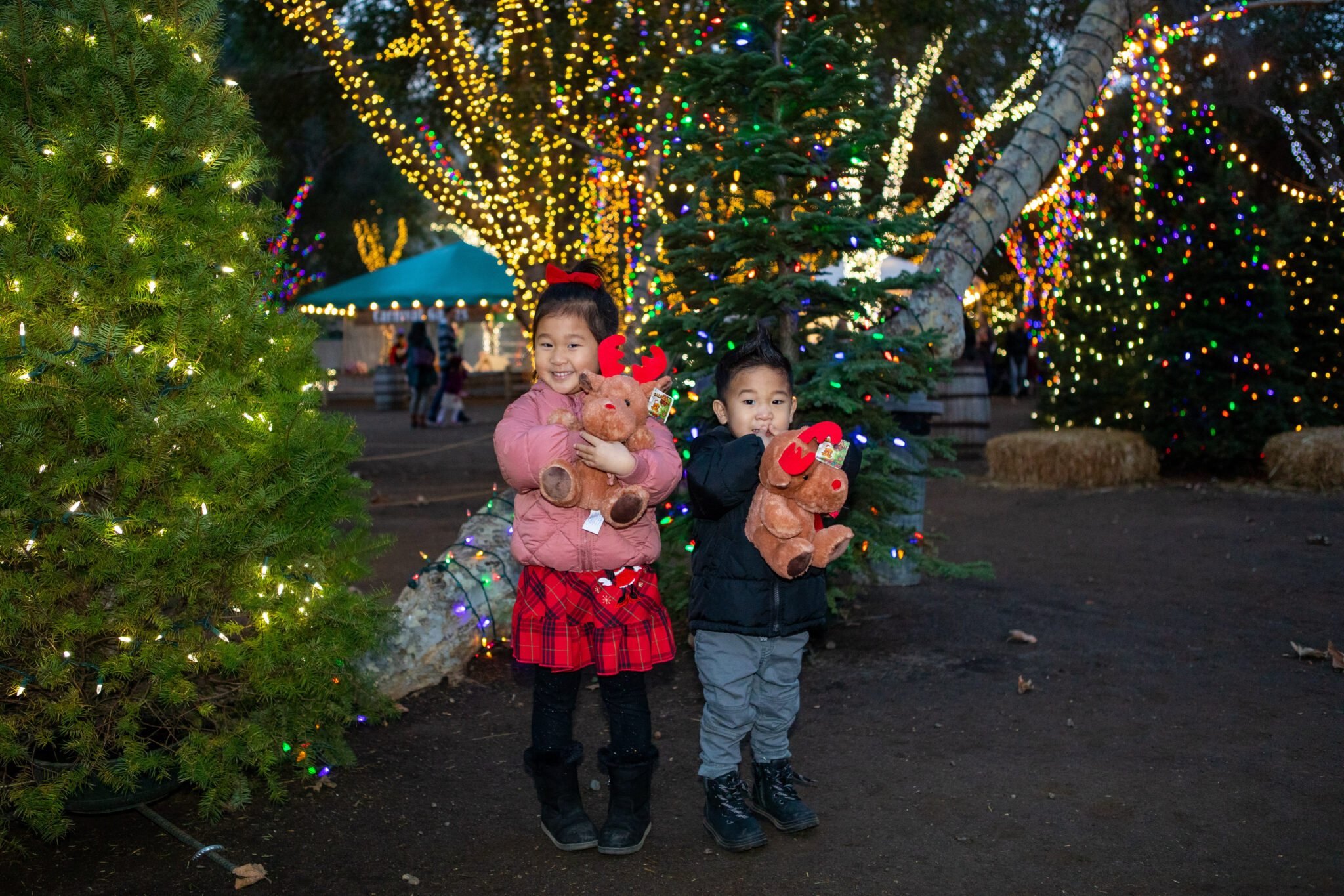 Train of Lights | Santa's Village | Christmas Events | Family ...