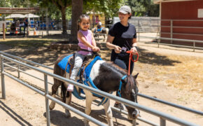 Pony Rides at Irvine Park